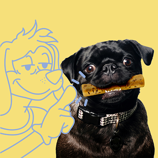 S 2